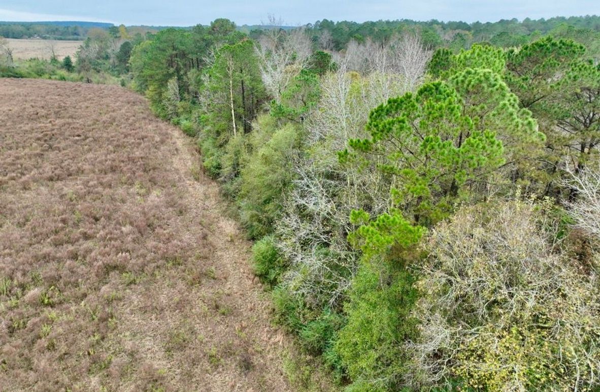 1DF18D0F-C8A0-4803-A702-1DEBD6D1FB97_1_201_a-2