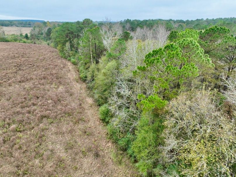 1DF18D0F-C8A0-4803-A702-1DEBD6D1FB97_1_201_a-2