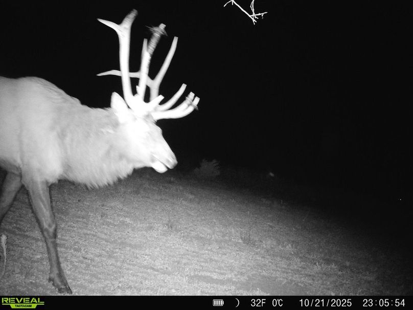 Copy of 868032069649766-100-3-10222025130802-HD-SYFW6805