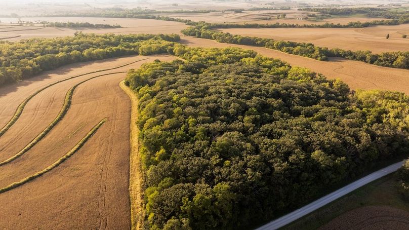 Copy of POTTAWATTAMIE CO IA 311 TRACT 3_43