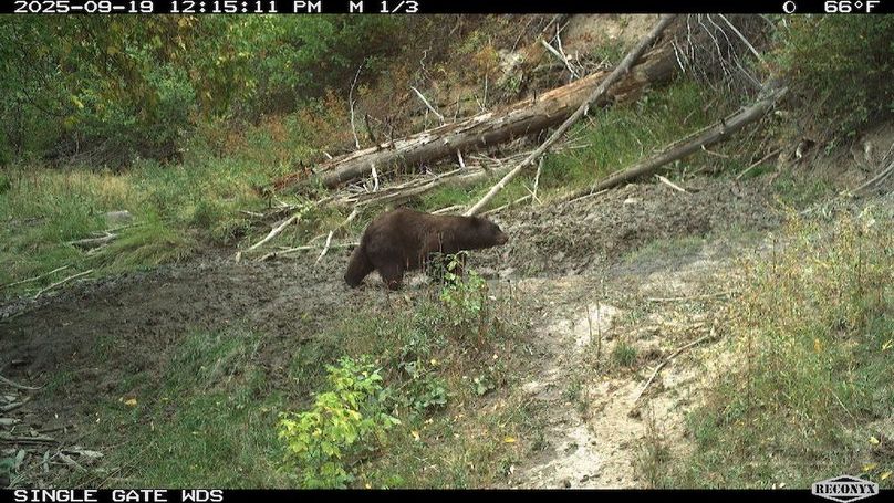 7C00634E-63A0-4001-B347-8C5E54F37077