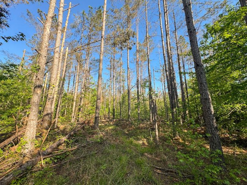 Tallahatchie 44 Newman (Crowden) Wide-19