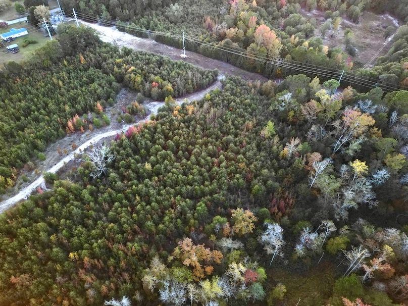 dji_fly_20251103_174114_426_1762260619209_photo