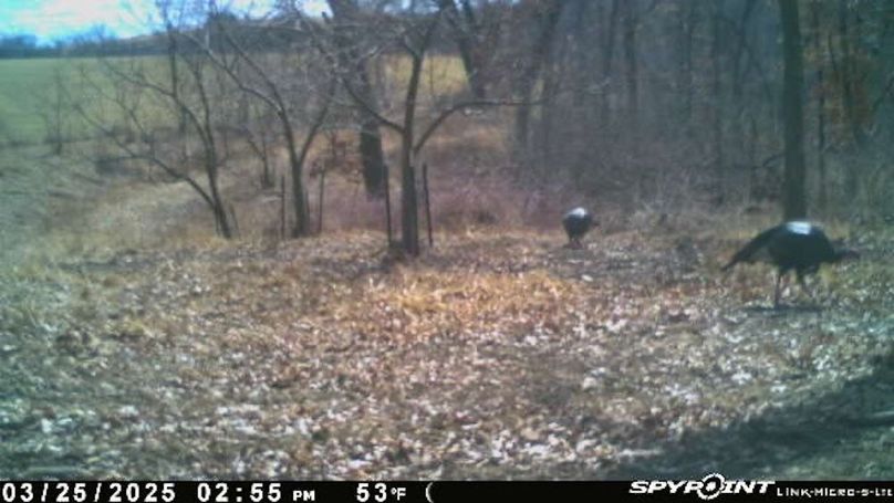 Image-1(16)