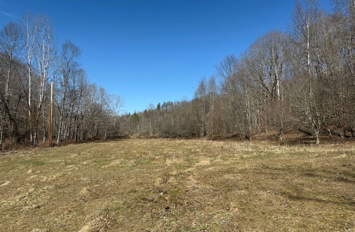 001 beautiful open fields in the north part of the property