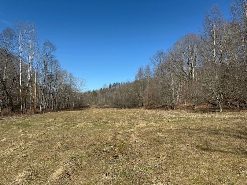 001 beautiful open fields in the north part of the property