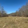 001 beautiful open fields in the north part of the property