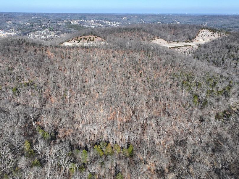 DJI_20260106115919_0917_D