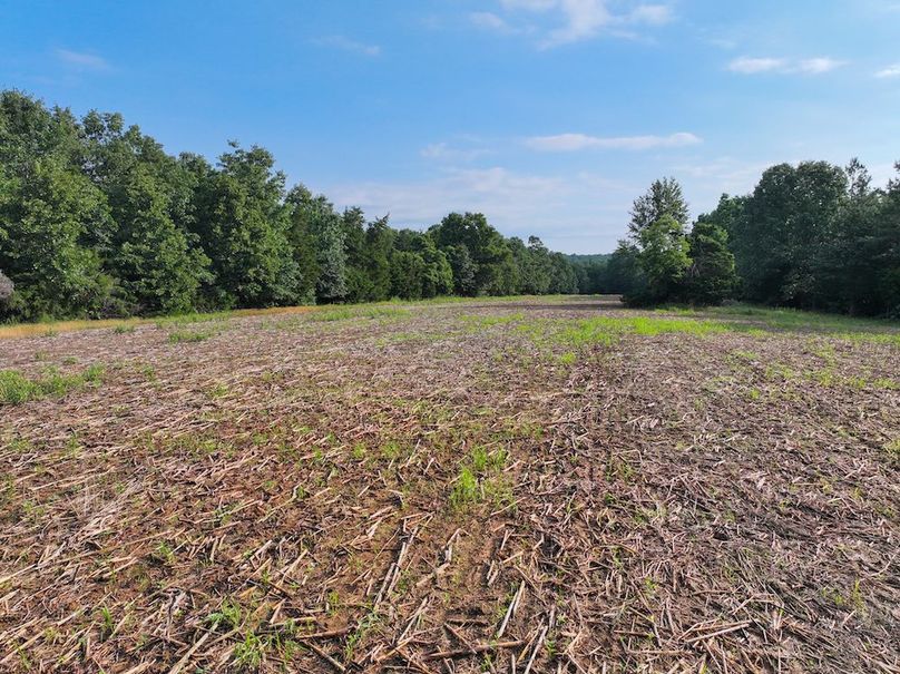 DJI_20260602080145_0259_D