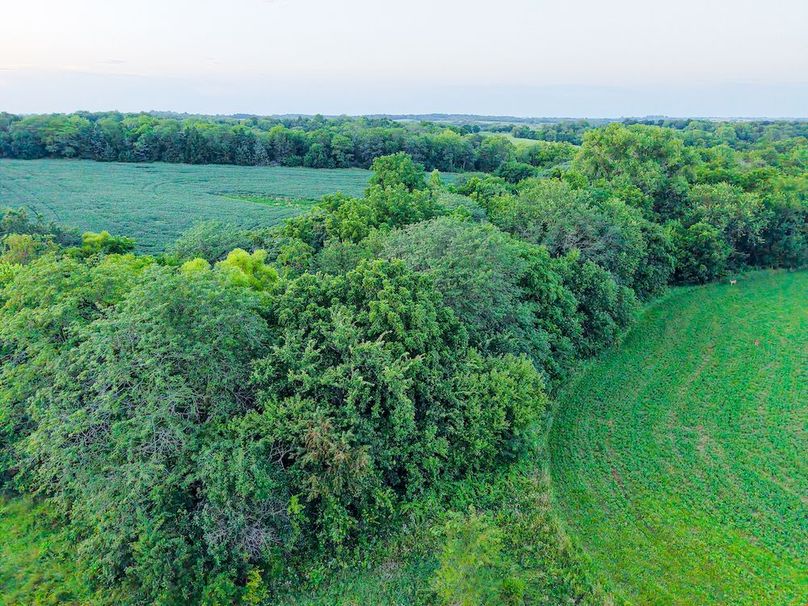 DJI_20250723202944_0446_D