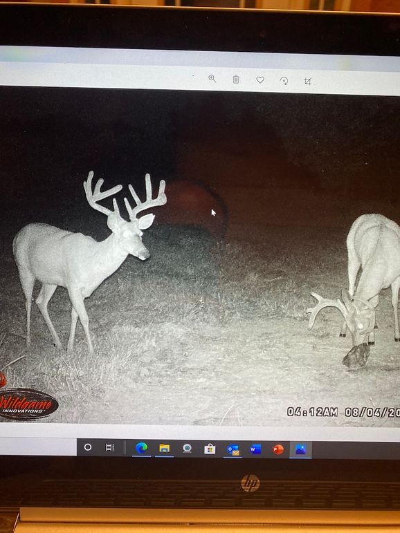 61888839773__65BBAB58-B930-4CD1-88F8-8D6238AF2AF9