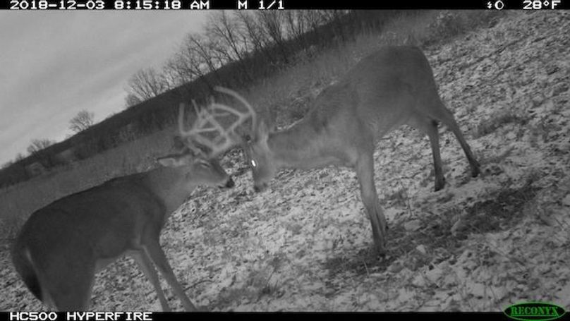 2018-12-03 08-15-18 M 1_1