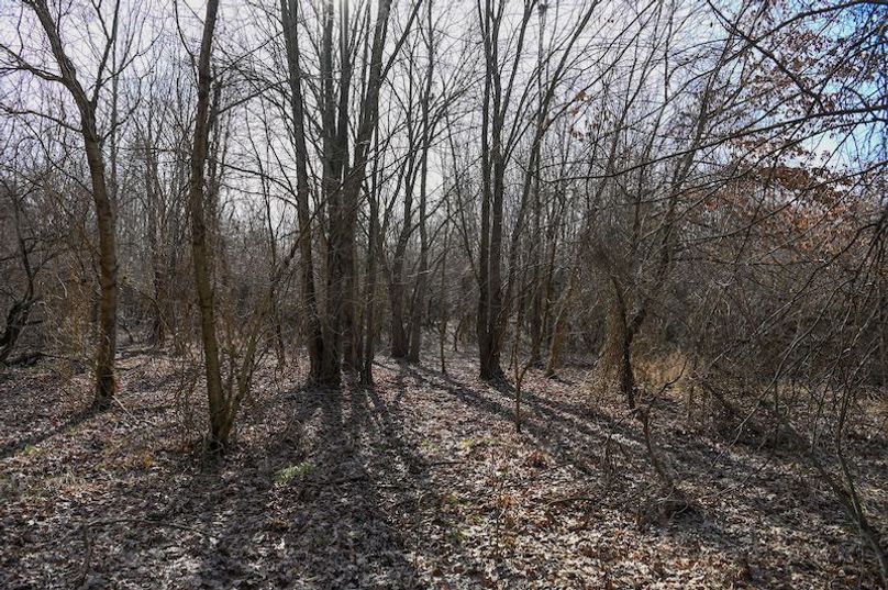 vandalia 450 (2)-1703