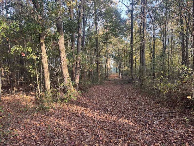 Jeff 11720251111_0190