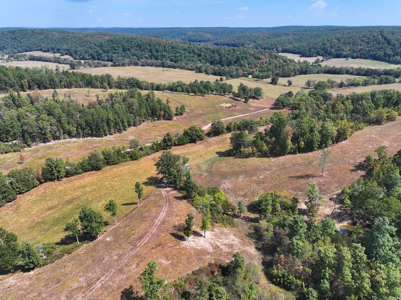 DJI_20250915122642_0621_D