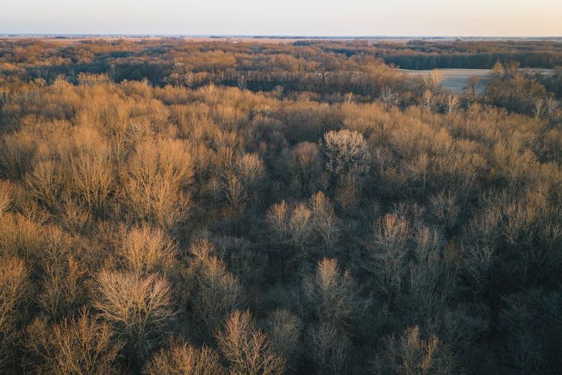 DJI_20260309183355_0327_D