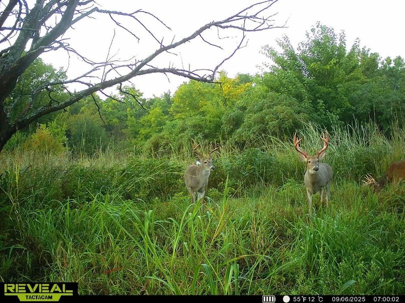 860322065515287-100-3-09072025042906-HD-SYEW3101