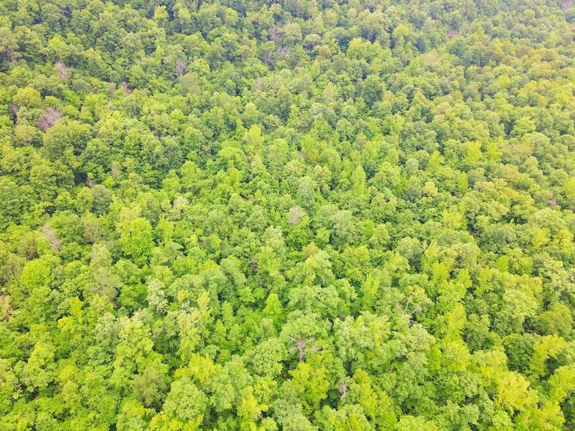 DJI_0345