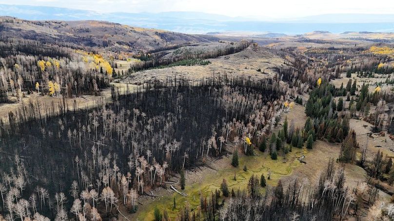 DJI_20250927093122_0207_D