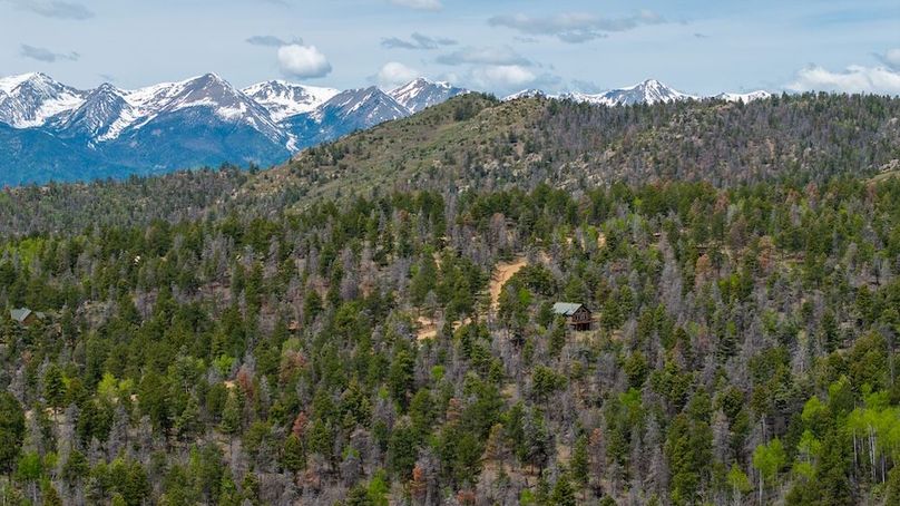 DJI_20240604131731_0011_D-HDR