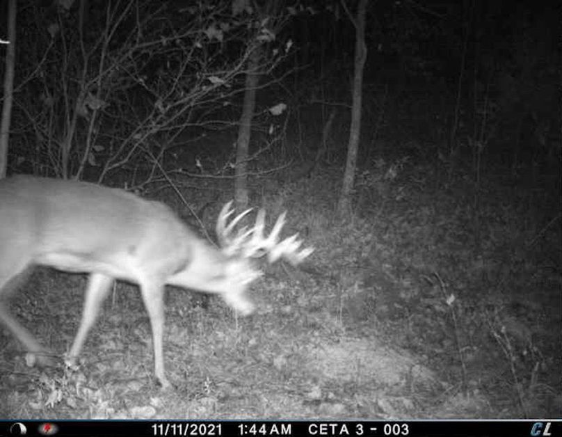 63D13824-81FC-4DE2-A3FA-9D382D6A3B7E