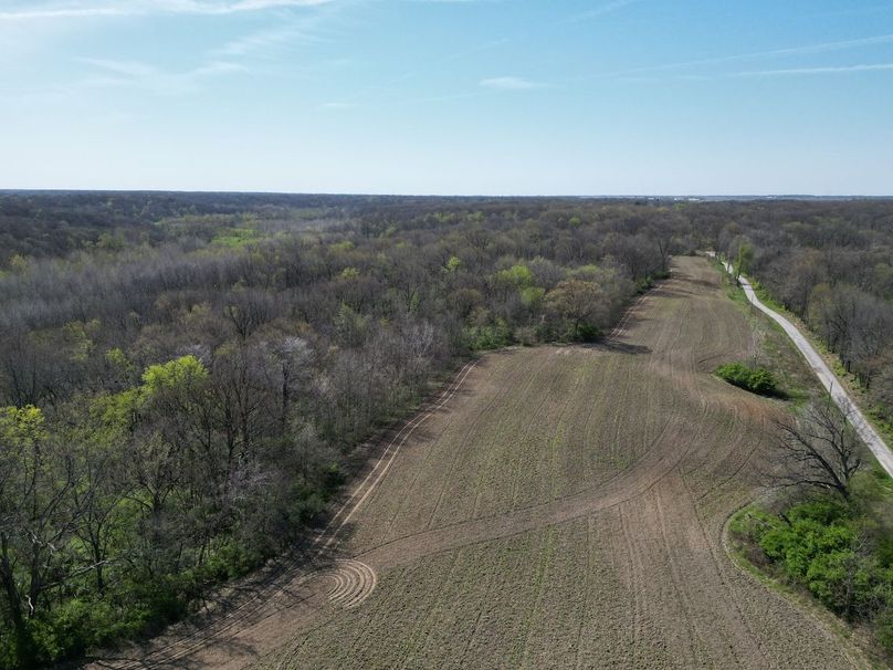 DJI_0198