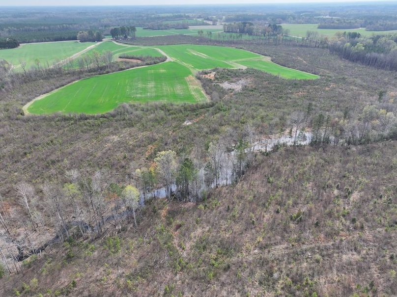 Copy of DJI_20260303062617_0512_D