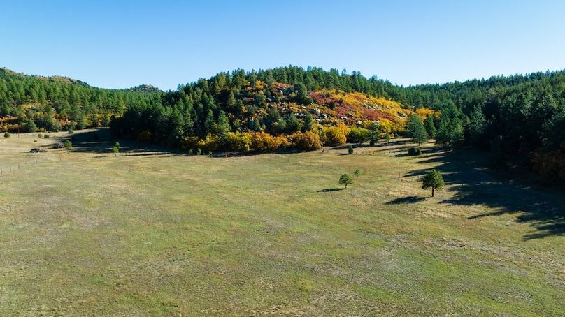 DJI_0244