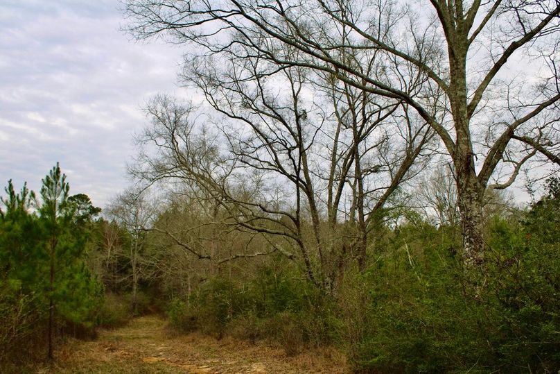 D2B5B78B-CDFD-487B-B547-A043759AFEEC_1_105_c