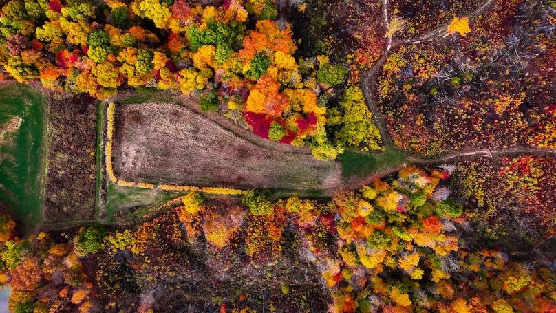 dji_fly_20251102_095528_0768_1762095971554_photo