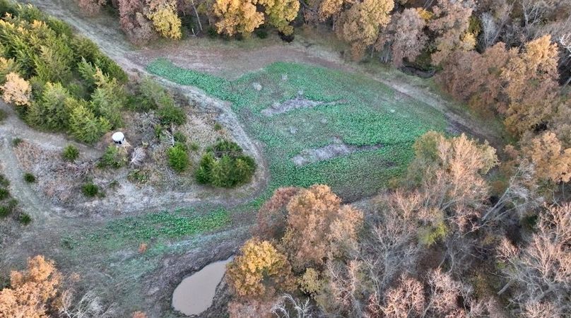 Screenshot 2025-11-20 at 10.08.30 AM