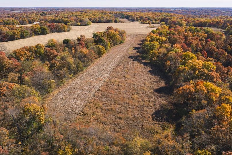 DJI_20251107115116_0963_D-HDR