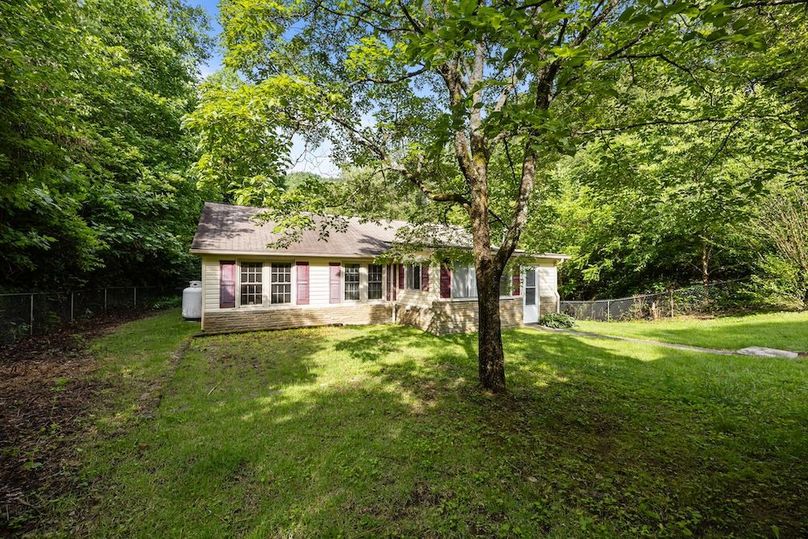 12-web-or-mls-58 Stillhouse Branch Rd 012