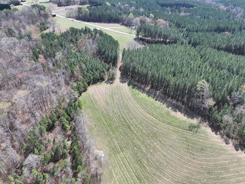 dji_fly_20260325_120912_0669_1774539238107_photo