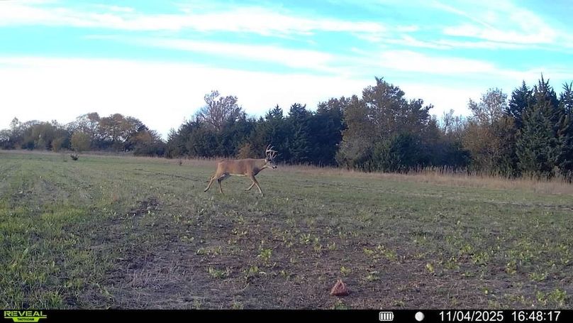 016578002025259-100-4-11042025164817-SYFW11722