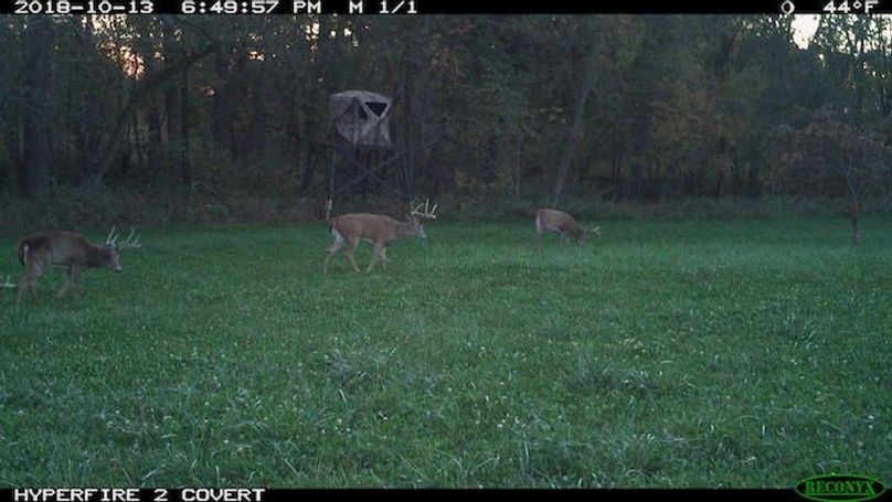 2018-10-13 18-49-57 M 1_1