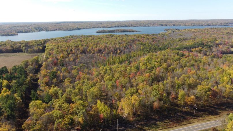 dji_fly_20231015_145618_166_1697399896470_photo_optimized