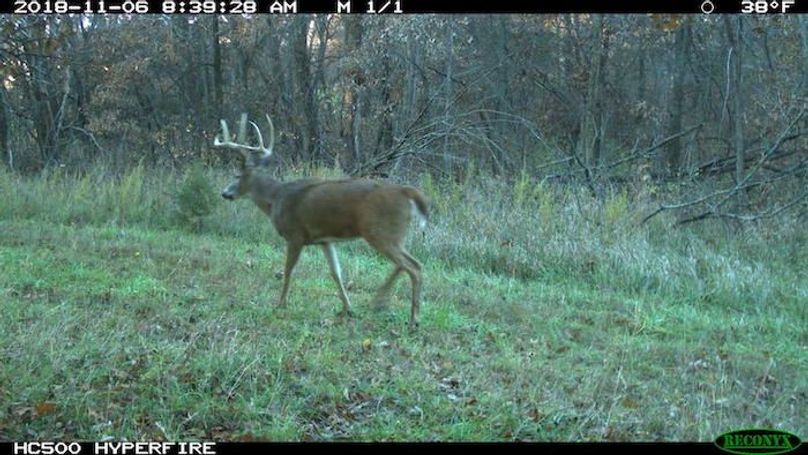 2018-11-06 08-39-28 M 1_1