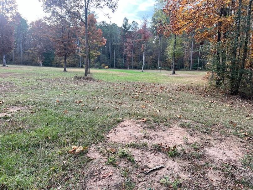 Dal_40_Denton20251117_0351