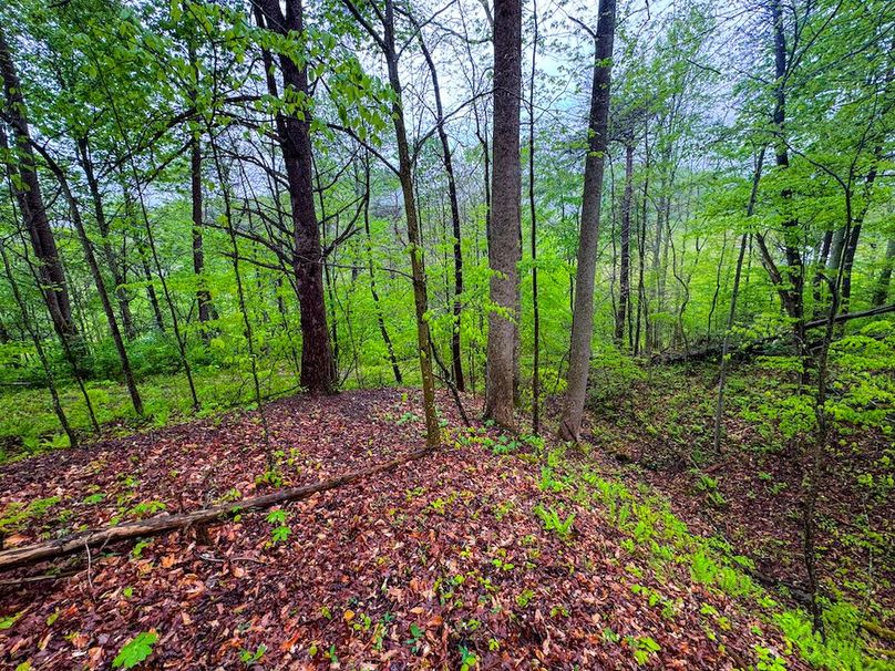 Lewis, WV 34.74 AC Graham-21