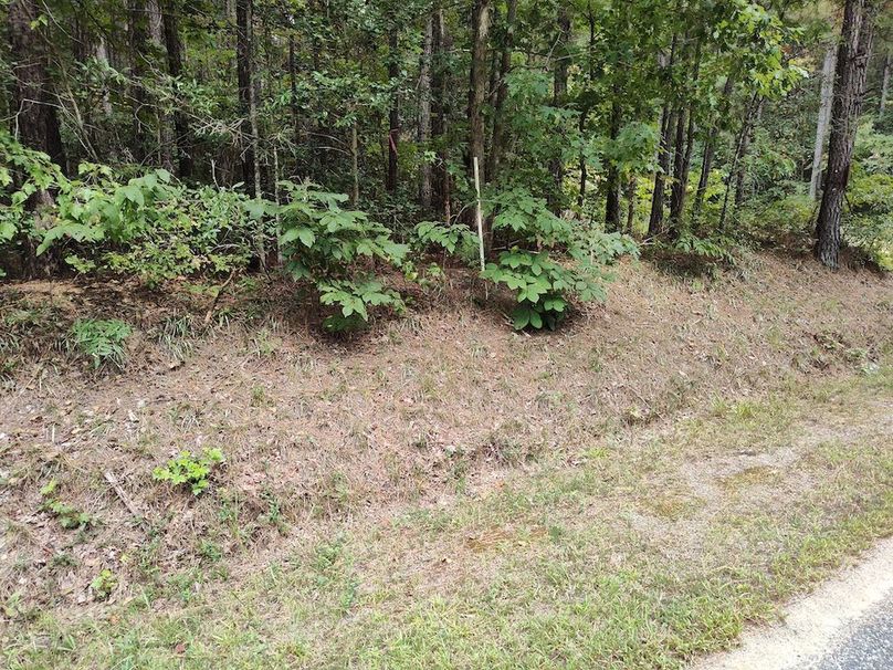 IMG_20250914_150109417