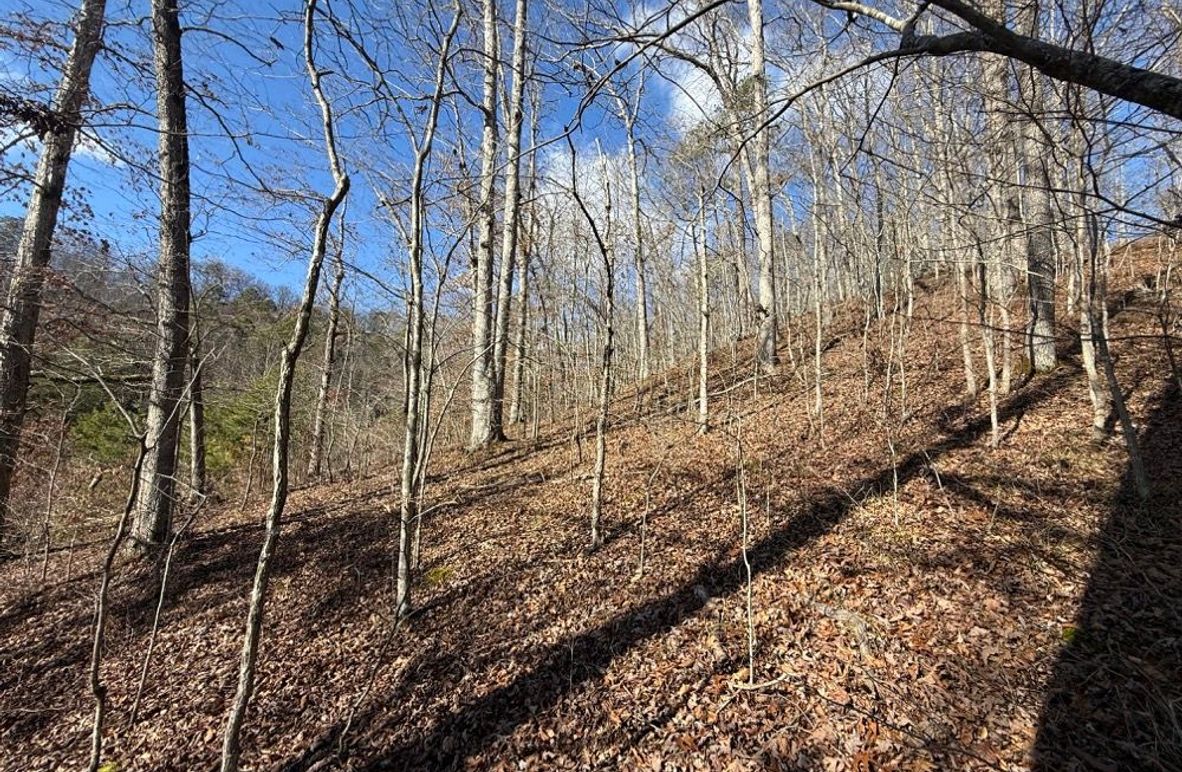 004 view to the west around the point