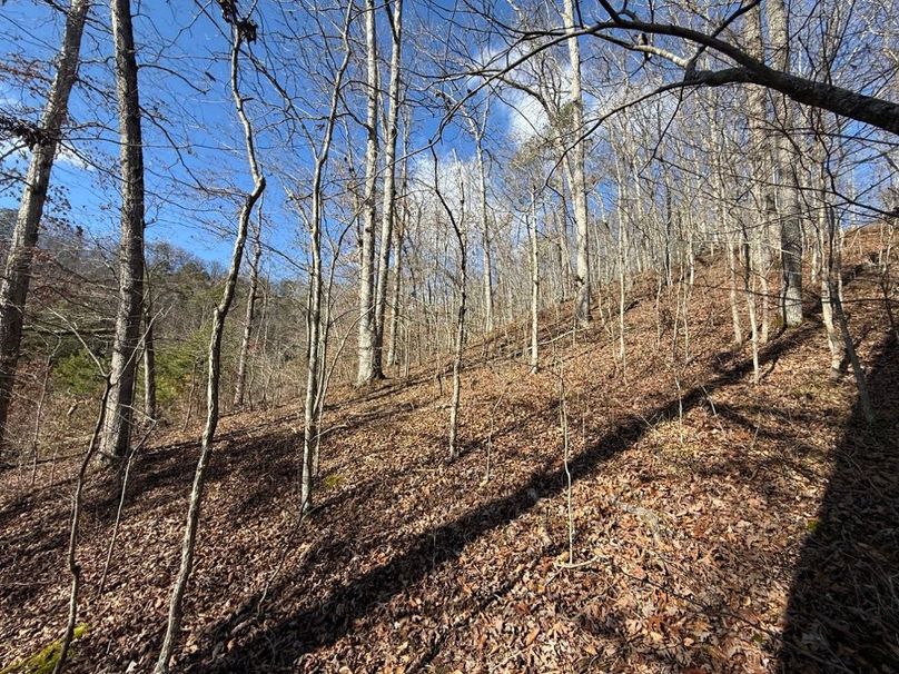 004 view to the west around the point