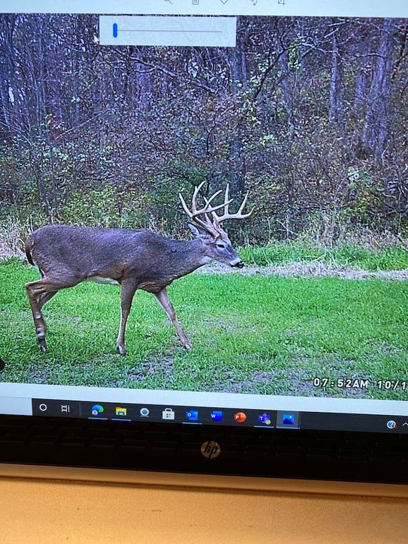 62543404594__303CCD43-E201-4032-9AF4-28DB7A3F3E22