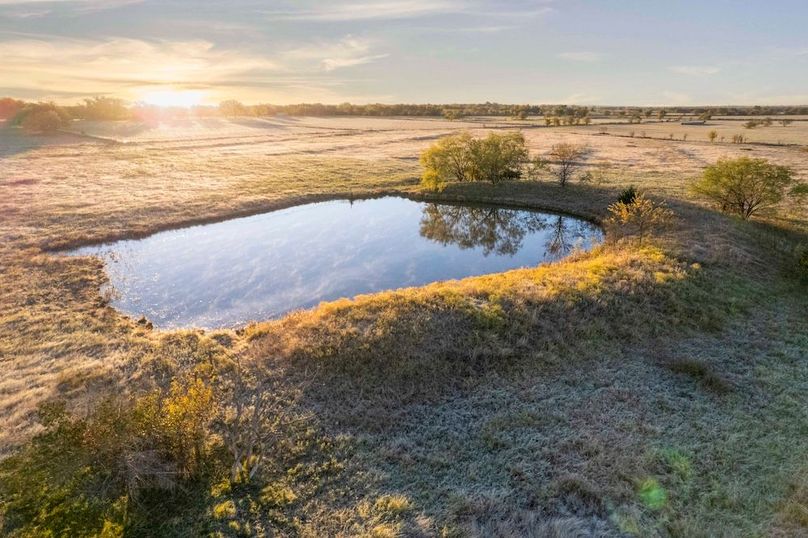 Cooke County- 13.5 acres no pond (3 of 25)