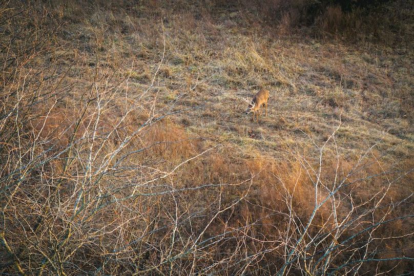 DJI_20260218165741_0671_D