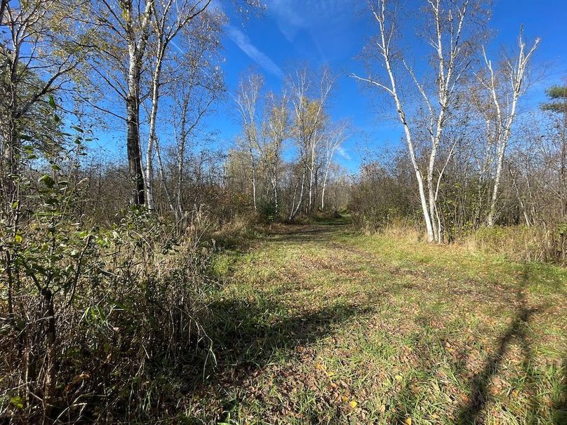 Clark 24.75 Winkel -28