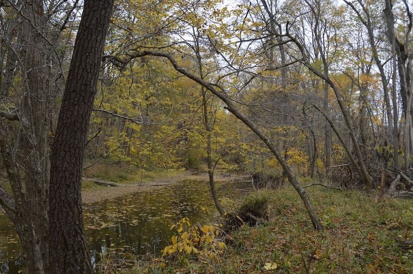 river view from southern property line