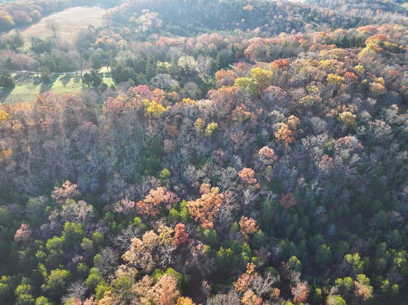 DJI_20251112080852_0876_D