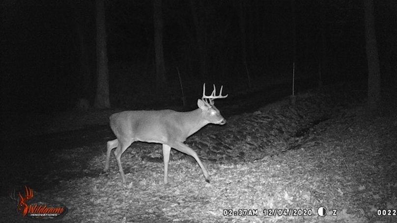 trailcam11